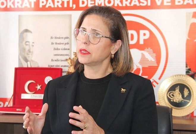 Demokrat Parti kongresinde kavga: İlay Aksoy’un adaylığı kabul edilmedi