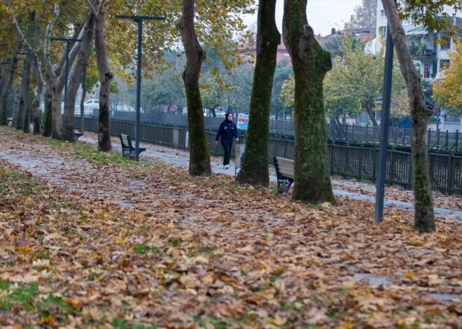 Sakarya’da Sonbahar Güzelliği